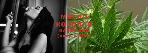 эйфоретик Кукмор