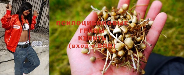 jwh Красноперекопск