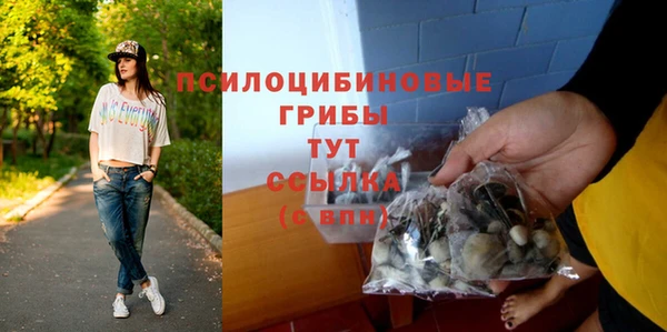 прущая мука Краснослободск
